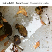 Schubert: 3 Klavierstücke, D. 946 - 3. Allegro (ミッツノショウヒン: ダイサンキョク:ハチョウチョウ|3つの小品(即興曲) D.946: 第3曲: ハ長調)_András Schiff