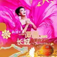 中国看见_谭晶