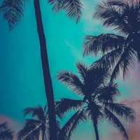 All We Know_Bigubar,The Chainsmokers
