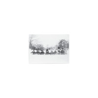 Silent Night_Bright Eyes