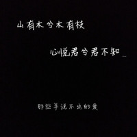 光_李泽华,洛天依