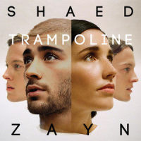 Trampoline_SHAED,ZAYN