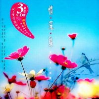 红楼梦_陈淑桦