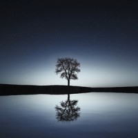Sounds of Clarity_Study Alpha Waves,Spa Relaxation,Spa,Sleep Sound Library