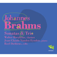 Sonata for Clarinet and Piano in E-Flat Major, Op. 120 No. 2: II. Allegro appassionato_Walter Boeykens,Jean-Claude Vanden Eynden,Johannes Brahms