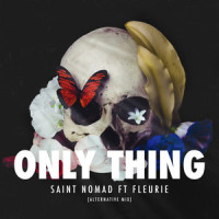 Only Thing_Saint Nomad,Fleurie