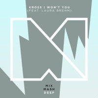 Won't You_Kross,Laura Brehm