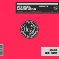 Thing For You_David Guetta,Martin Solveig