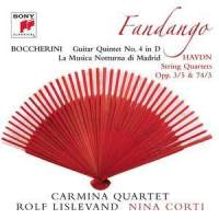 3. Grave Assai_Rolf Lislevand,Luigi Boccherini