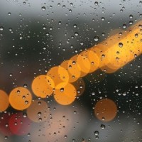 Summer Rain_Tony Igy