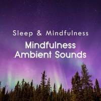 Ambient Mindfulness Sounds, Pt. 01_Sleepy Times