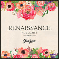 Renaissance_Steve James