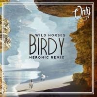 Wild Horses_Heronic,Birdy
