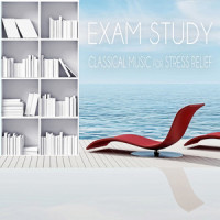 Piano Sonata No. 12 in A-Flat Major, Op. 26: II. Scherzo – allegro molto_Stress Relief Music Oasis