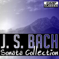 Sonata for Flute and Harpsichord in B Minor BWV 1030: II. Largo E Dolce_Milos Jurkovic (Flute),Paul Baumgartner,Johann Sebastian Bach