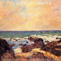 String Concerto in C Minor, No. 8, RV 127, From Paris Concertos: III. Allegro_Johann Sebastian Bach