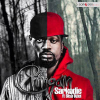 Chingam(feat. Bisa Kdei)_Sarkodie,Bisa Kdei