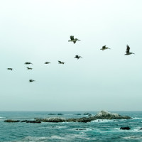 Slow Steady Stream_Bossa Cafe en Ibiza,Deep Sleep,Baby Sleep Through the Night