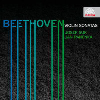 III. Allegro vivace (第三乐章 活泼的快板)_Josef Suk,Jan Panenka