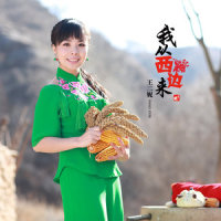 崖畔上开花_王二妮