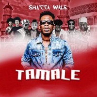 Tamale_Shatta Wale