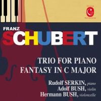 Piano Trio in E-Flat Major, Op. 100, D. 929: III. Scherzando. Allegro moderato_Rudolf Serkin,Adolf Bush,Hermann Bush