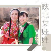 陕北女娃娃_王二妮