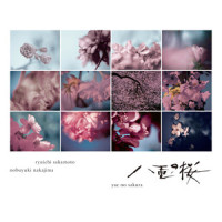 八重の桜 紀行_坂本龙一