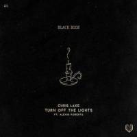Turn off the Lights (feat. Alexis Roberts)_Chris Lake,Alexis Roberts
