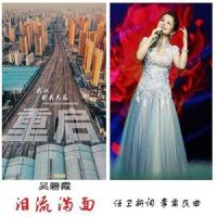 泪流满面_李需民,吴碧霞