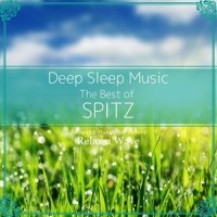 Scarlet_Relax α Wave