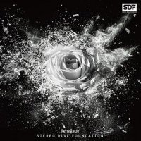 Renegade_STEREO DIVE FOUNDATION