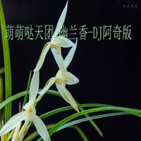 幽兰香_DJ阿奇,萌萌哒天团