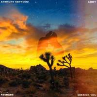 Missing You(feat. Abby)_Anthony Keyrouz,Suprafive,Abby