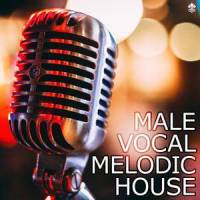 I Will Be Back(feat. Babz Wayne)_Yonetro,Alex Skrindo,Babz Wayne