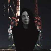 In The Dark_Rival,Max Landry