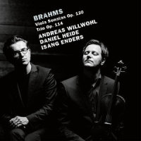 Sonata in F Minor, Op. 120 No. 1: I. Allegro appassionato_Andreas Willwohl,Daniel Heide