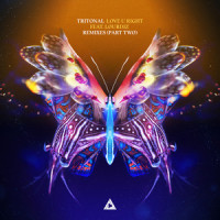 Love U Right_Tritonal,Lourdiz,Disco Fries