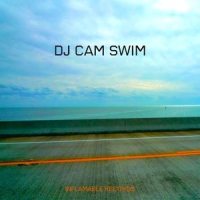 Swim_DJ Cam,Chris James
