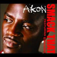 Smack That_Akon