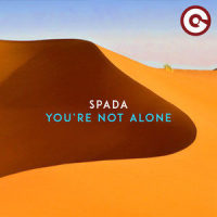 You're Not Alone_Spada