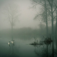 Contemplation_Relaxing Mindfulness Meditation Relaxation Maestro,Sleepy Times,Powerthoughts Meditation Club