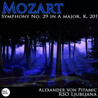III. Menuetto - Allegretto (第三乐章 小步舞曲 - 小快板)_RSO Ljubljana,Alexander Von Pitamic