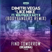 Find Tomorrow(Ocarina)_Dimitri Vegas & Like Mike,Wolfpack,Katy B