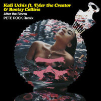 After The Storm_Kali Uchis,Tyler, The Creator,Bootsy Collins