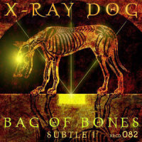 13th Gate (whoosh hits build)_X-Ray Dog