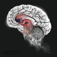 Incision_Shing02