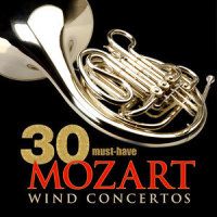 III. Rondo - Tempo Di Minuetto (第三乐章 回旋曲 - 小步舞曲速度)_Klaus Hellmann,Vienna Mozart Ensemble