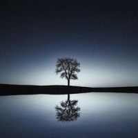 Calm & Comfortable_Spa Relaxation,Spa,New Age,Zen Meditate