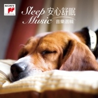 II. Andante amoroso (第二乐章,柔情的行板)_Lili Kraus,Wolfgang Amadeus Mozart
